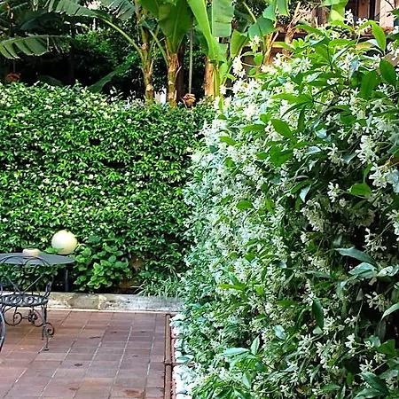 Select Garden