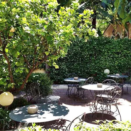 Select Garden Hotel