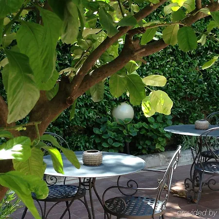 Hotel Select Garden 3*