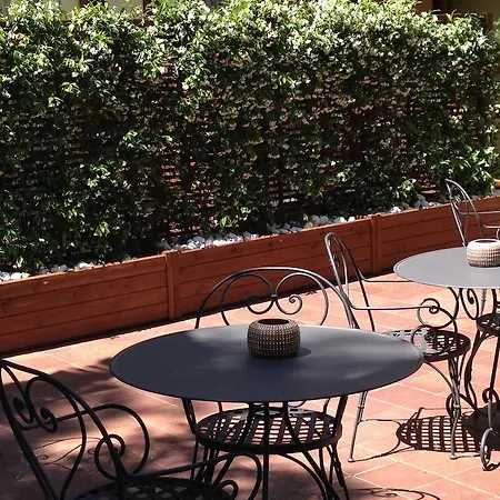 Select Garden Hotel 3*