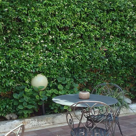 Select Garden Roma