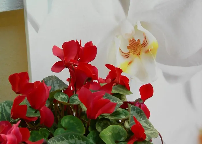 Hotel Select Garden