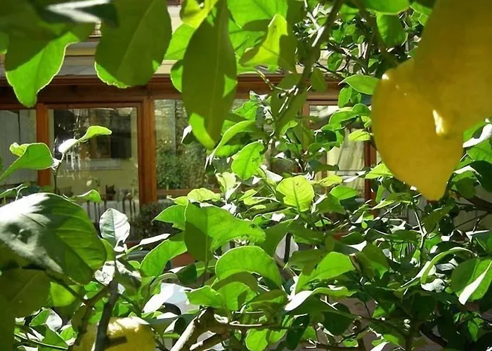 Select Garden Otel 3*