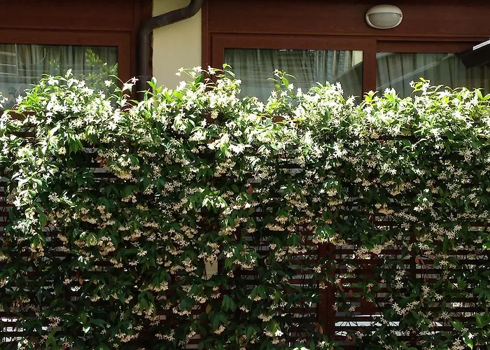 Select Garden Otel Roma