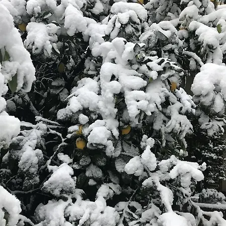 Ξενοδοχείο Select Garden 3*