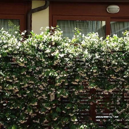 Select Garden Ξενοδοχείο Ρώμη