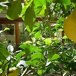 Select Garden Hotel 3*