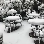 Select Garden Hotel 3*