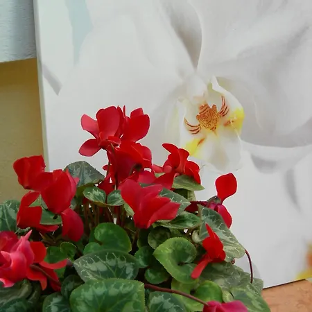 Отель Select Garden