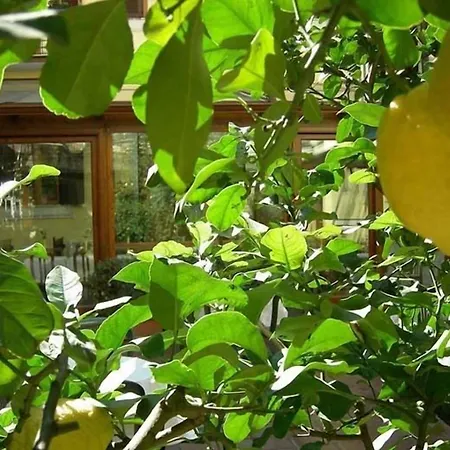 Select Garden Hotel 3*